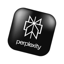 Perplexity